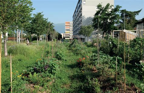 Ville fertile Ville fertile