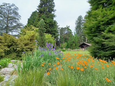 chalet du jardin