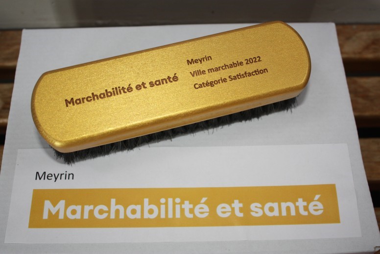 Prix de la brosse à chaussures d'or 2022
