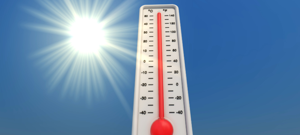 Canicule