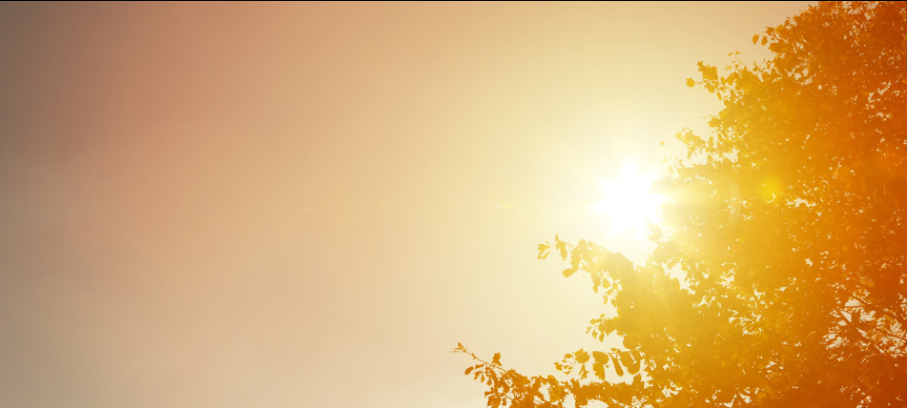 Canicule et pollution