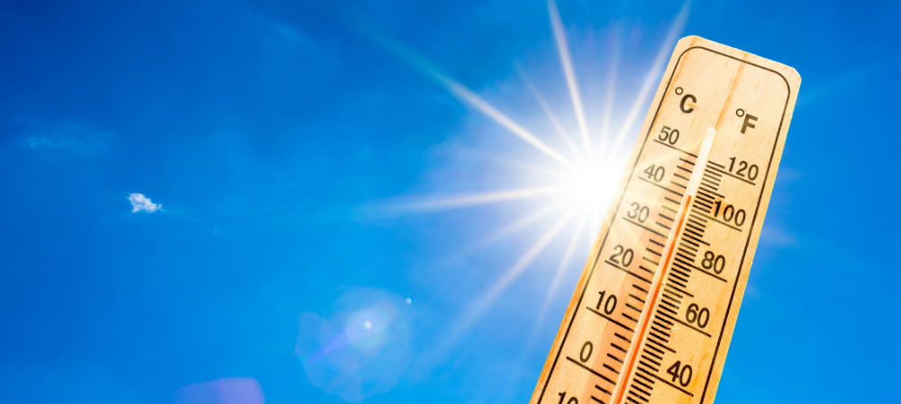 alerte canicule