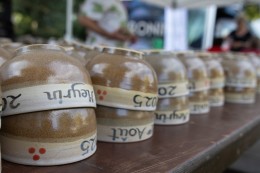 Programme de législature