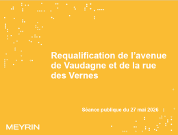 Vignette_presentation.png