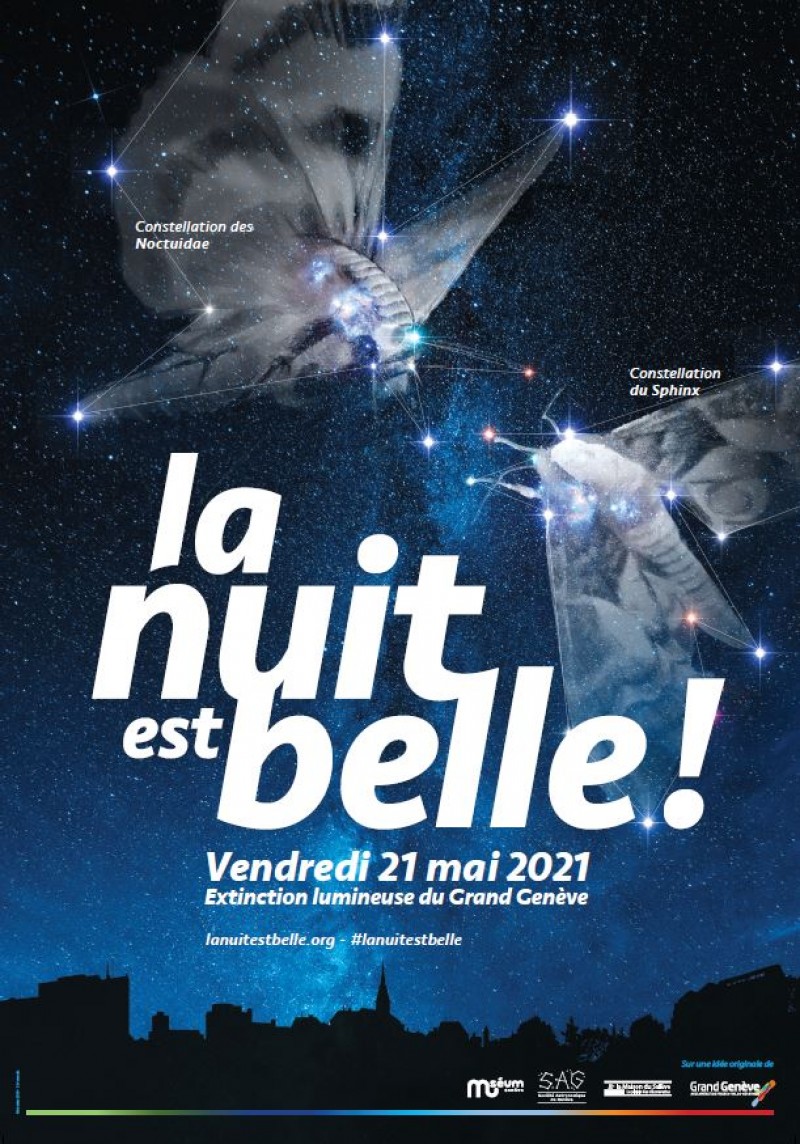 La nuite est belle !