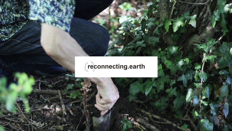 Reconnecting earth