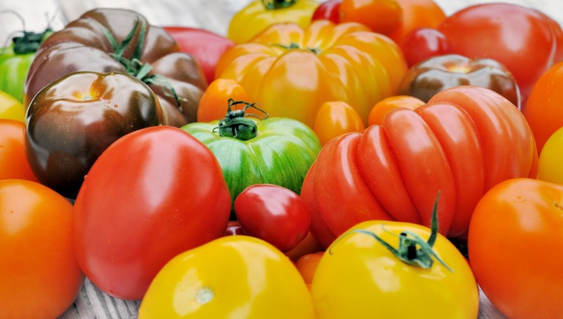 tomates