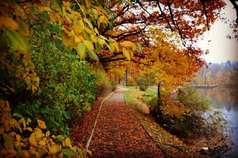 Promenade du Nant d'avril