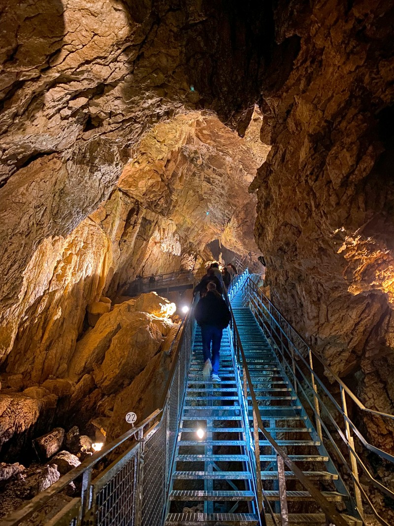 Grottes de Vallorbe et Juraparc