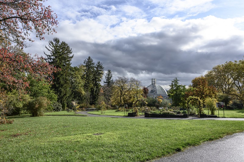 Visite du Jardin Botanique