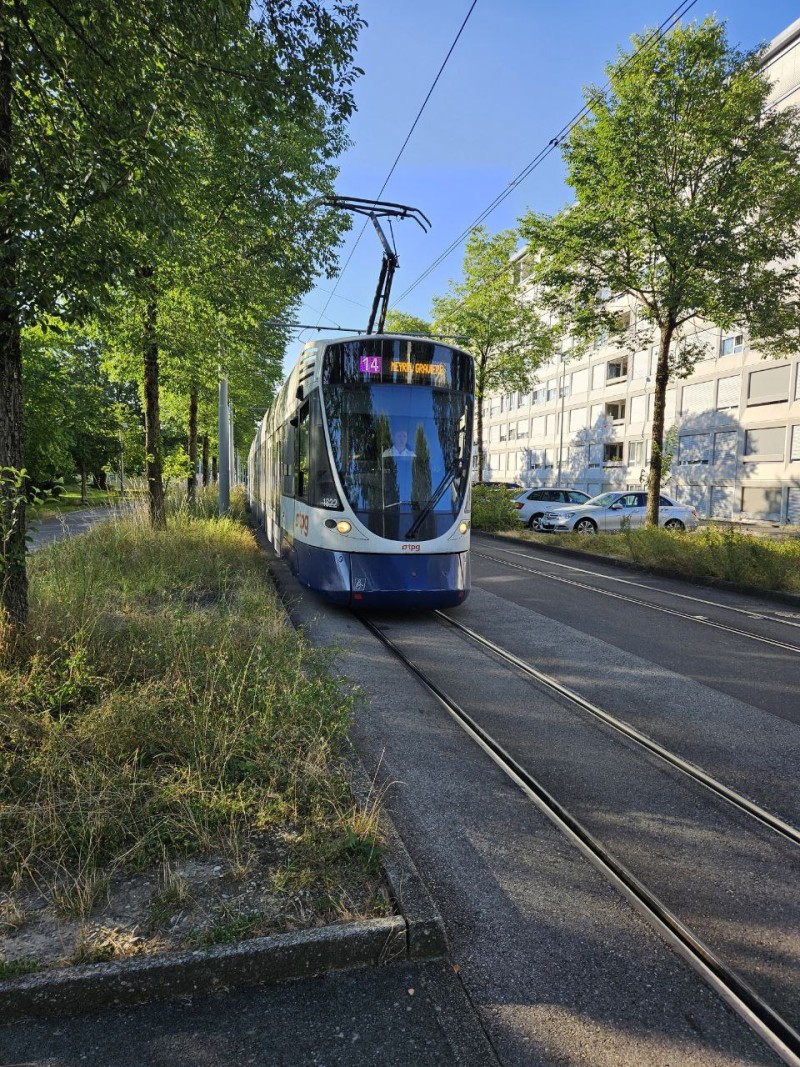 Tram Meyrin Gravière