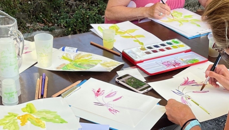 Atelier dessin Atelier dessin