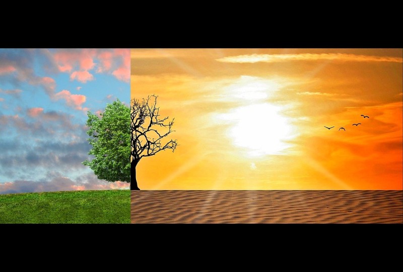 changements climatiques