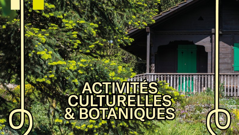 L'été au Jardin L'été au Jardin