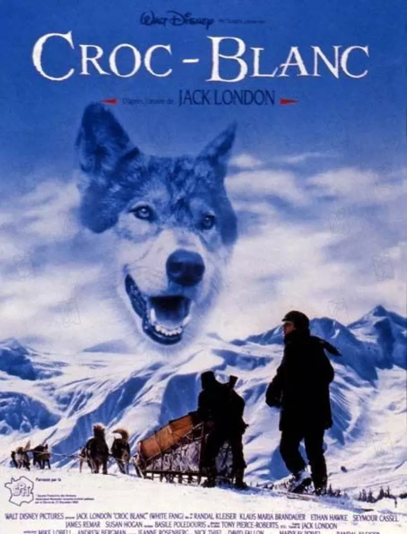 Film : "Croc-Blanc"