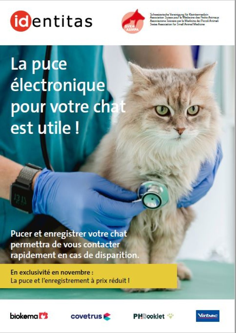 Flyer de la campagne
