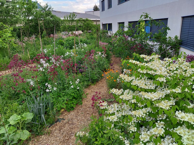 Jardin nourricier (photo de Maurice MARCHESI)