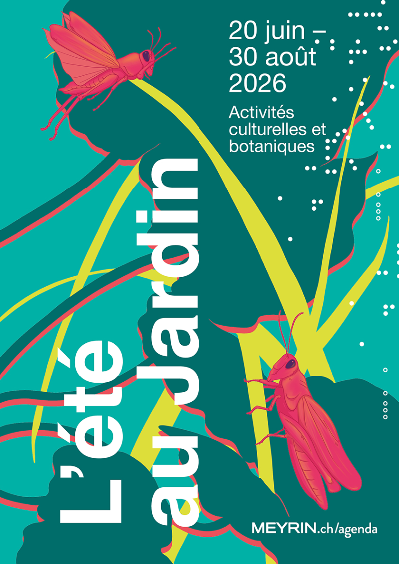 L'été au Jardin