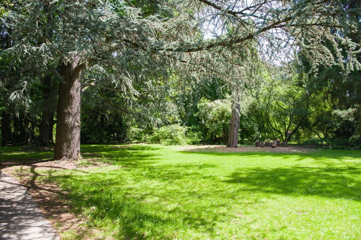 Jardin botanique alpin de Meyrin