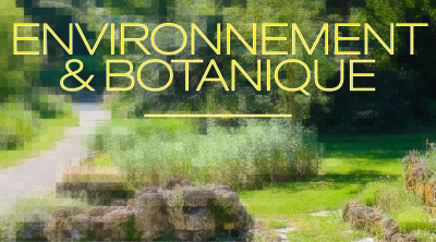 Environnement Environnement