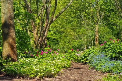 jardin forêt