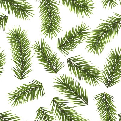 sapin